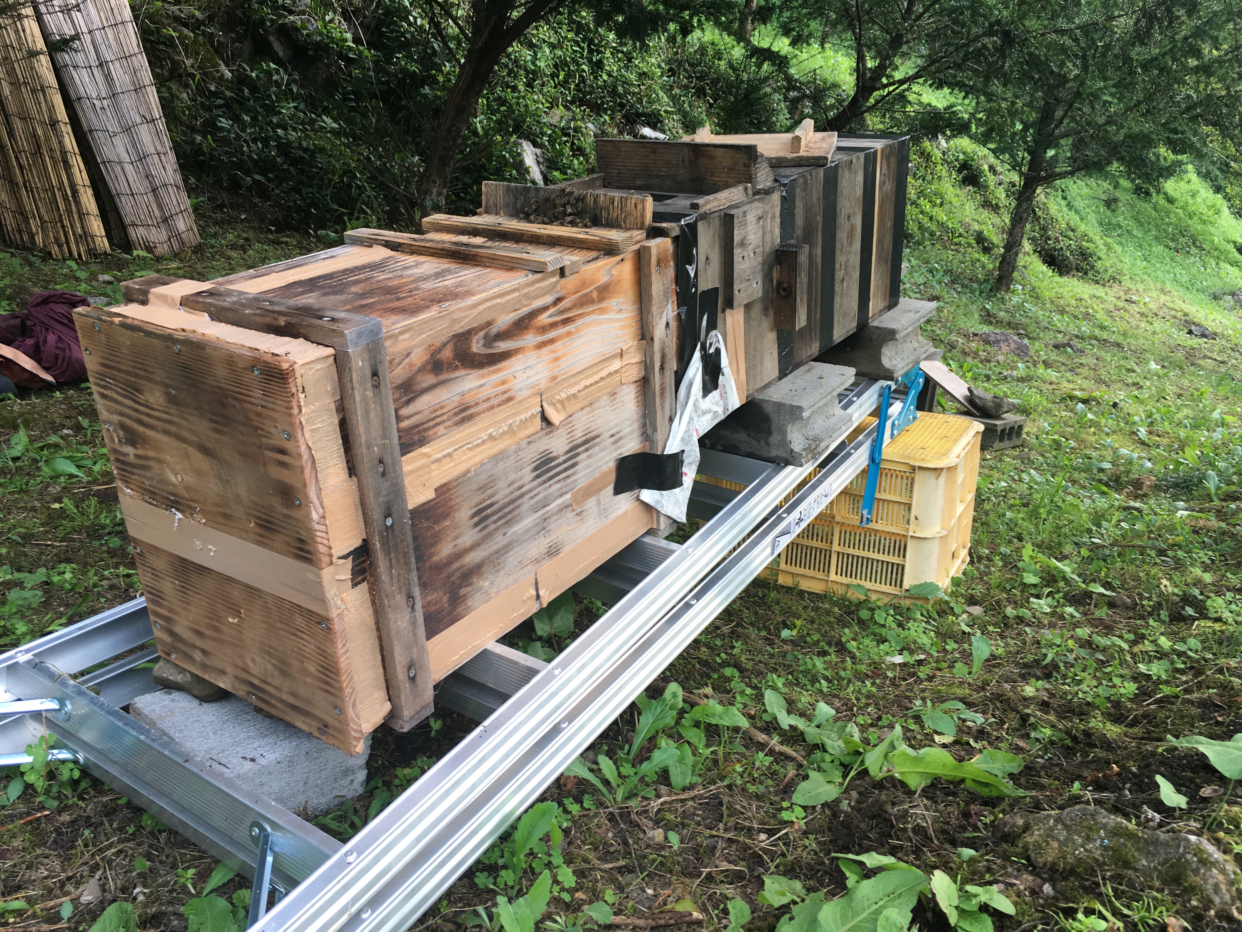 胴式巣箱のミツバチを重箱式巣箱に移して採蜜する | やまみつや 日本ミツバチ巣箱販売